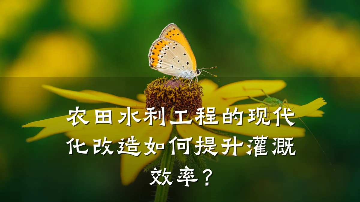 农田水利工程的现代化改造如何提升灌溉效率?