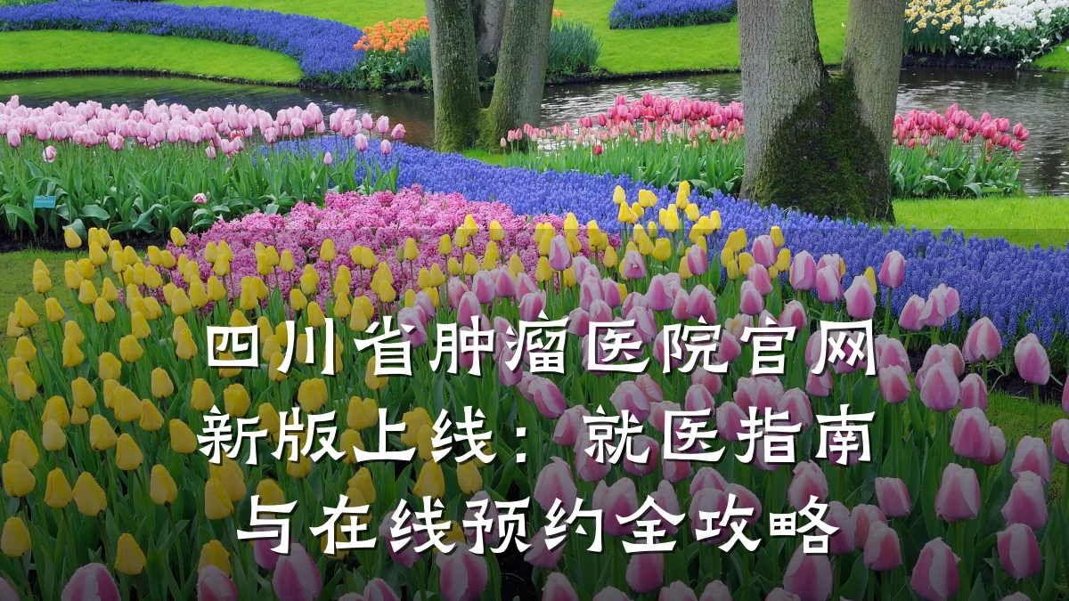 四川省肿瘤医院官网新版上线：就医指南与在线预约全攻略
