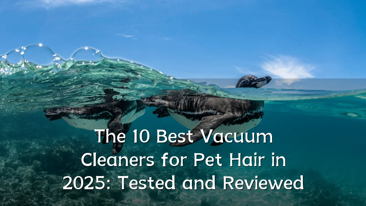 The 10 Best Vacuum Cleaners for Pet Hair in 2025: Tested and Reviewed