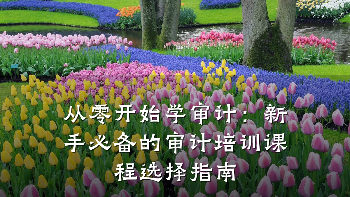 从零开始学审计：新手必备的审计培训课程选择指南