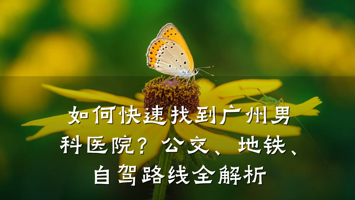 如何快速找到广州男科医院？公交、地铁、自驾路线全解析