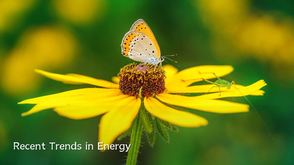 Recent Trends in Energy