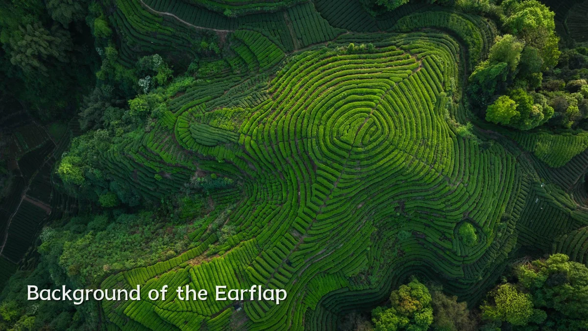 Background of the Earflap