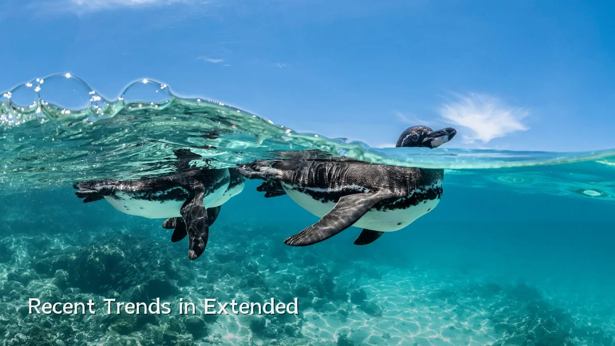 Recent Trends in Extended