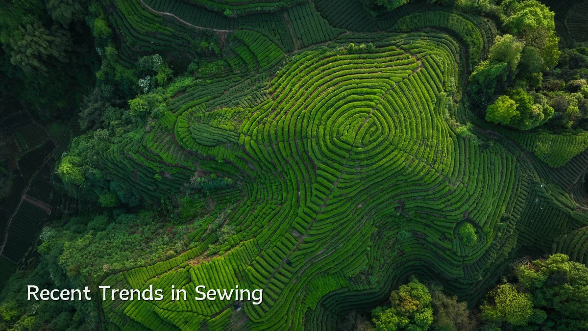 Recent Trends in Sewing