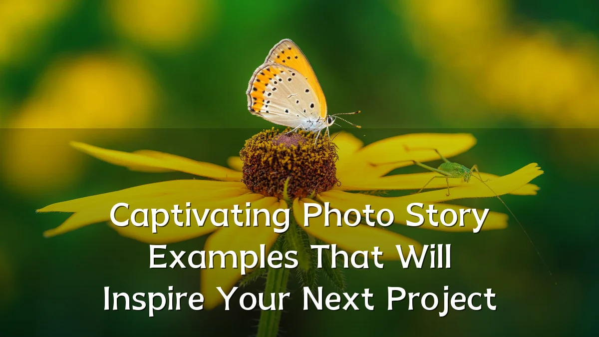 Captivating Photo Story Examples That Will Inspire Your Next Project