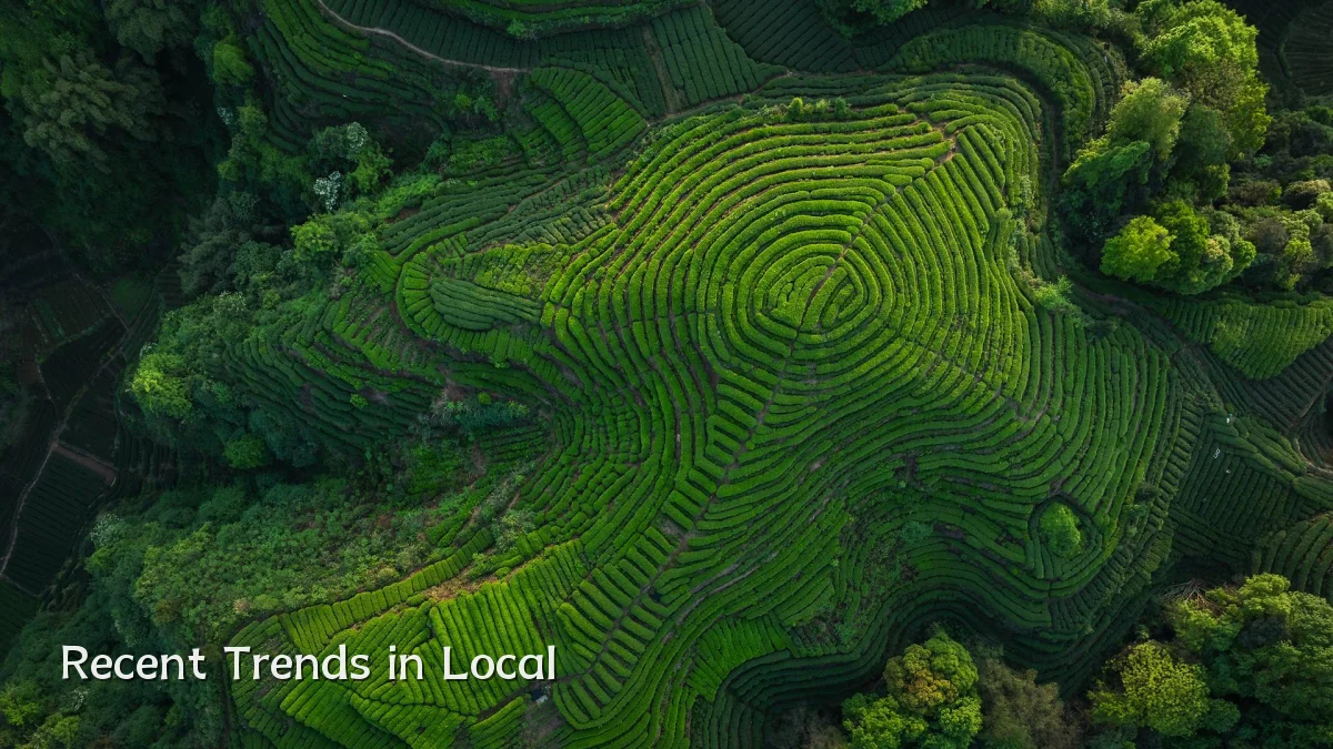 Recent Trends in Local