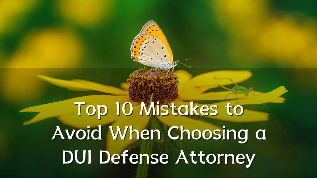Top 10 Mistakes to Avoid When Choosing a DUI Defense Attorney