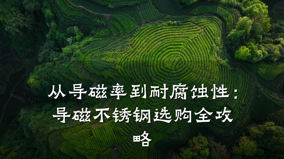 从导磁率到耐腐蚀性：导磁不锈钢选购全攻略